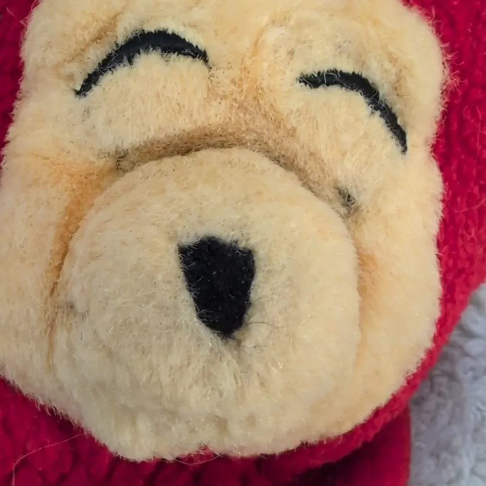 Disney winnie pooh
